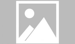 中阮初级入门教学视频,中阮初级入门教学视频要点梳理